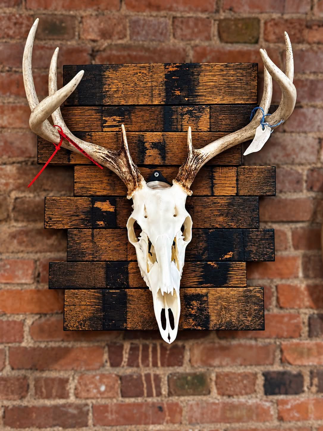 Broken Stave Plaque
